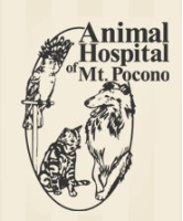 Animal Hospital Of Mount Pocono - Mount Pocono, PA