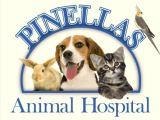 Pinellas Animal Hospital - Pinellas Park, FL
